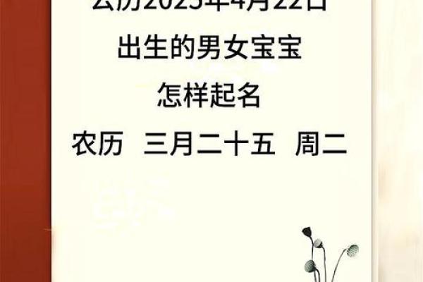 2019年4月22号卯时出生的男孩要怎么起名字姓名
