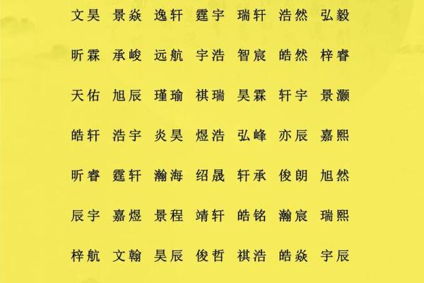 2019年4月29号寅时出生的男孩应该起什么样的名字姓名