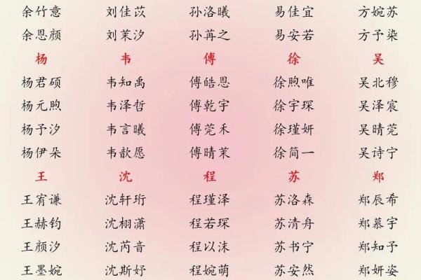 如何给属猪申时出生的男孩取个好名字姓名