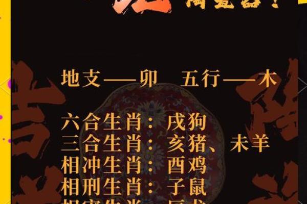 3月份出生的属兔女孩宜取什么名姓名