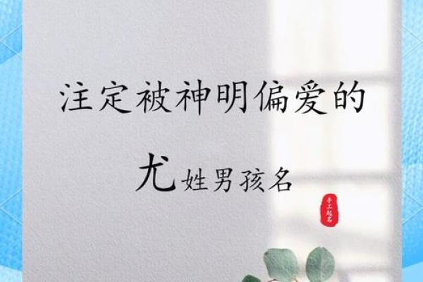 尤姓女孩名字大全-尤姓女孩起名字大全-尤姓名字大全姓名