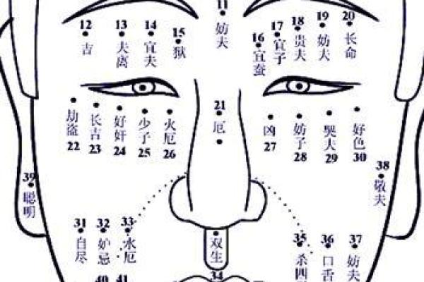 姓韶的名人-姓名学-华易算命网姓名