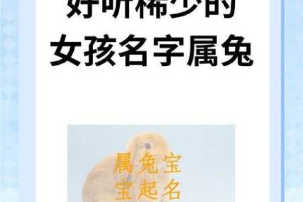 2月份出生的属兔女孩起什么名字好姓名