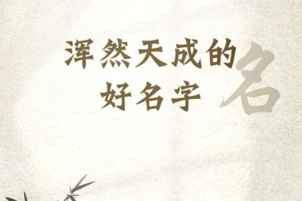 姓许的名人-名人大全-姓名学-华易算命网姓名