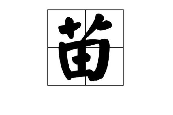 苗姓宗祠对联族谱和苗氏家族的字辈排行-姓名学-华易网姓名